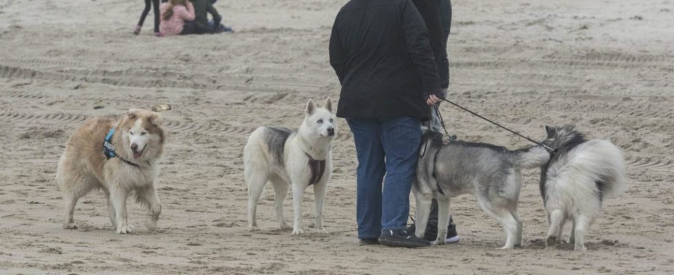 denhaag_20171028_053