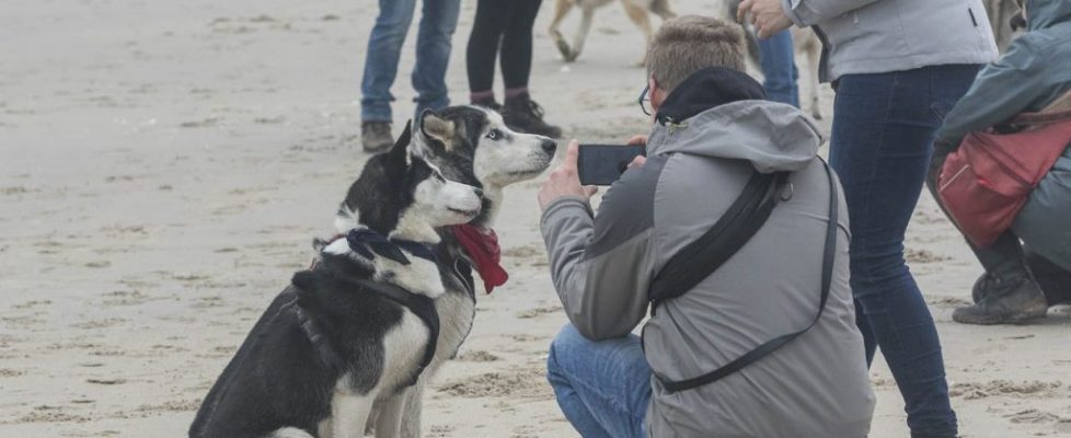 denhaag_20171028_063