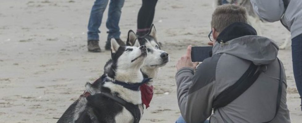 denhaag_20171028_064