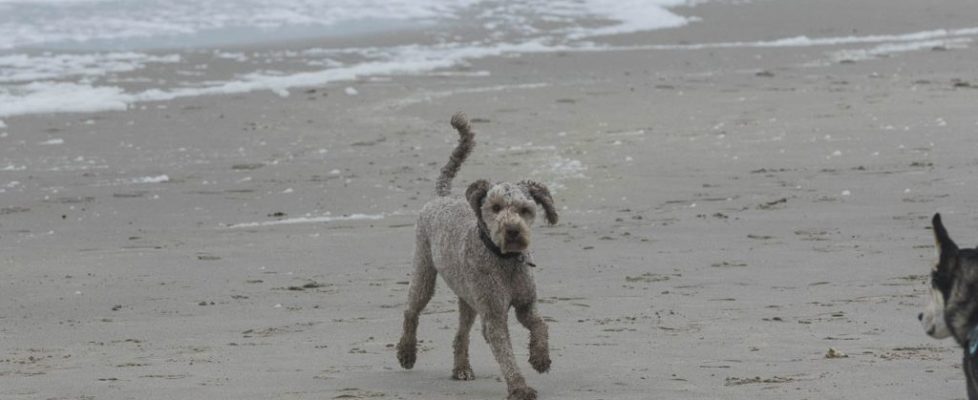 denhaag_20171028_065