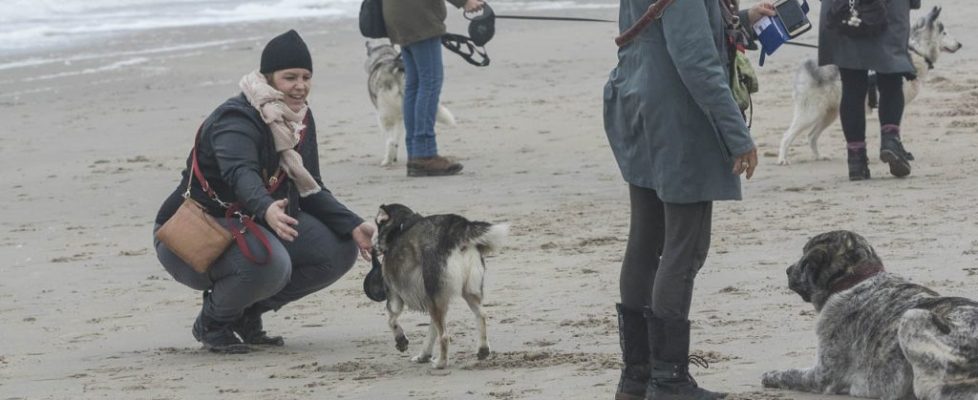 denhaag_20171028_072