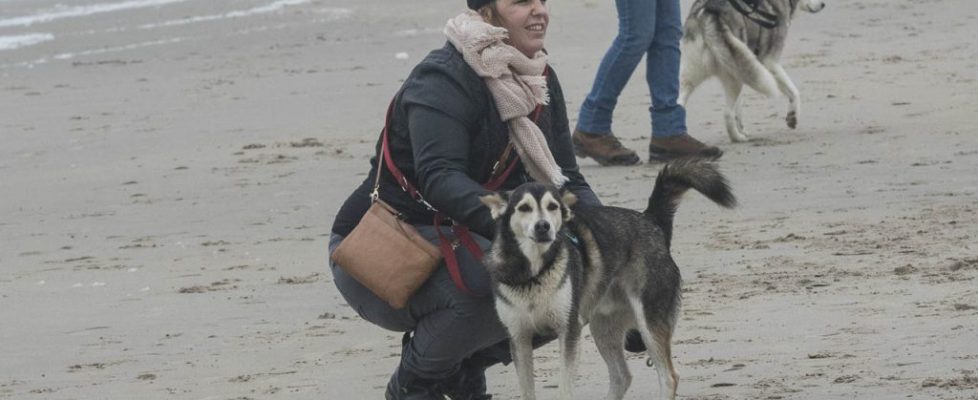 denhaag_20171028_073