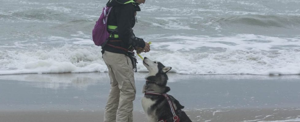 denhaag_20171028_074