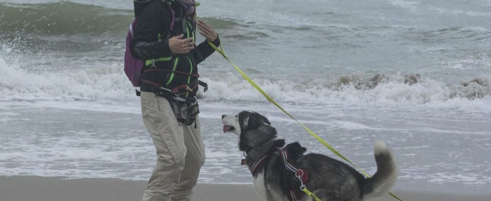 denhaag_20171028_075