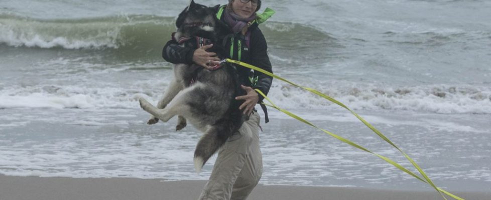 denhaag_20171028_076