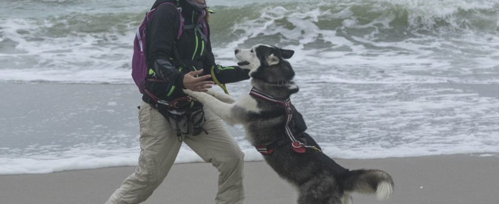 denhaag_20171028_077