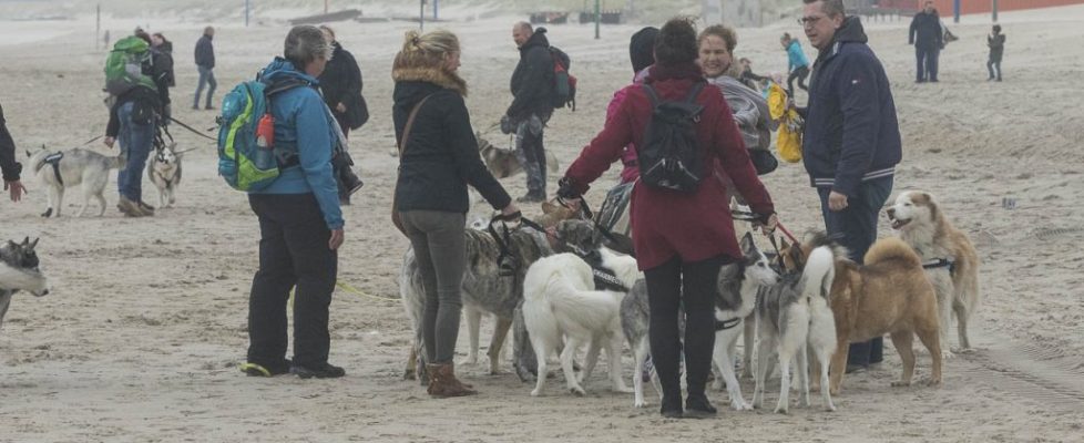 denhaag_20171028_078