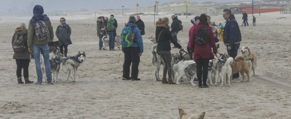 denhaag_20171028_079