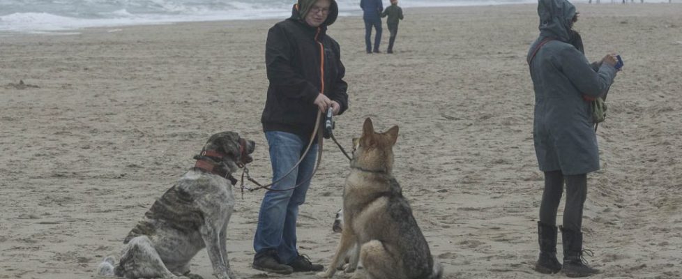 denhaag_20171028_081