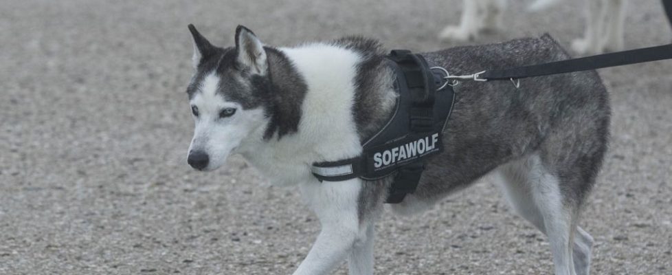 denhaag_20171028_085