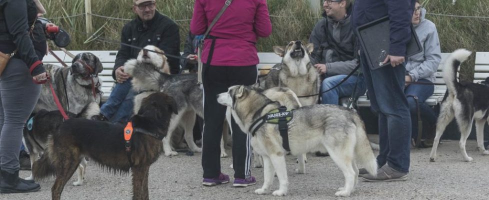 denhaag_20171028_090