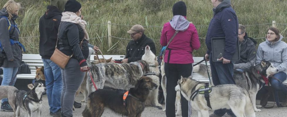 denhaag_20171028_091