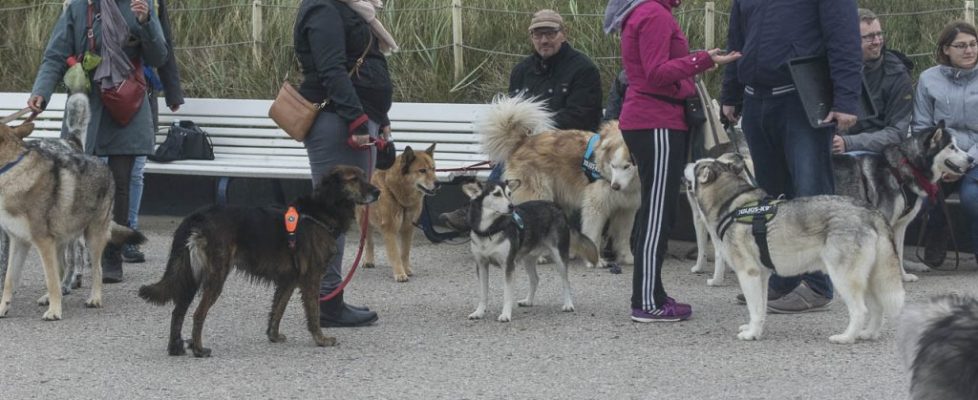 denhaag_20171028_094