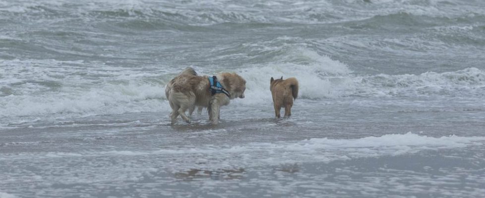 denhaag_20171028_102