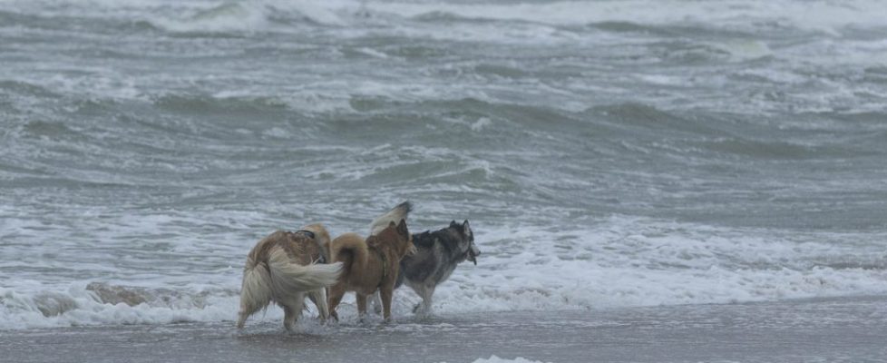 denhaag_20171028_103