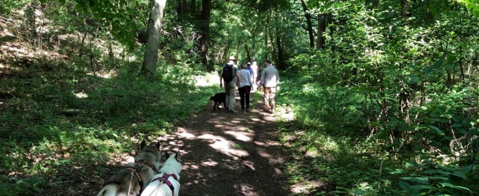 genshagen_20180520_01