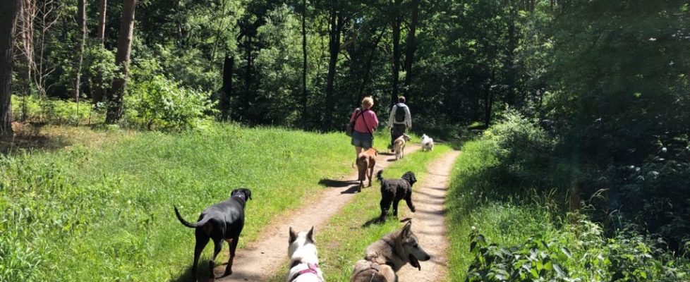 genshagen_20180520_03