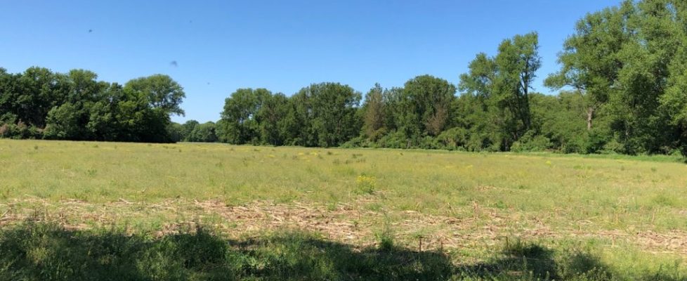 genshagen_20180520_05