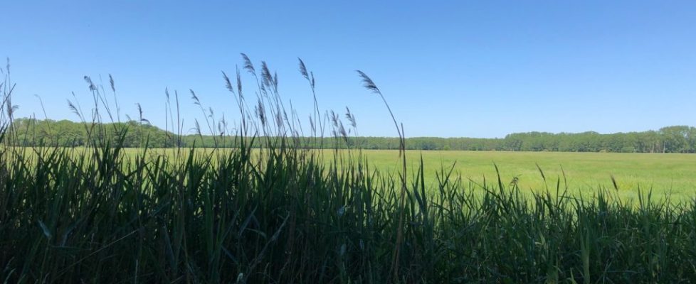 genshagen_20180520_07