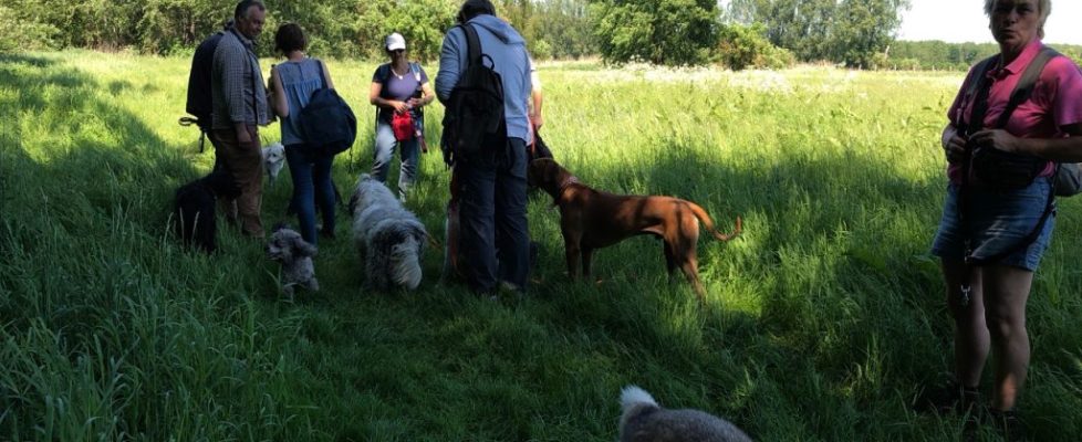 genshagen_20180520_08