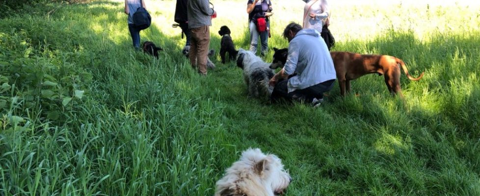 genshagen_20180520_09