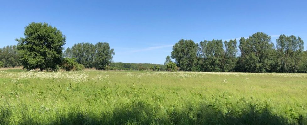 genshagen_20180520_10