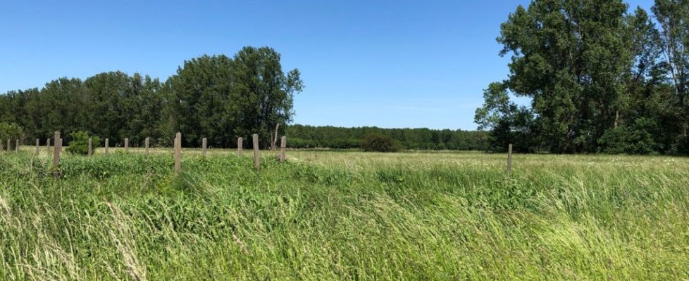 genshagen_20180520_11