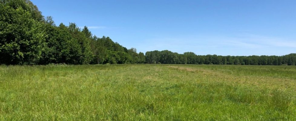 genshagen_20180520_12