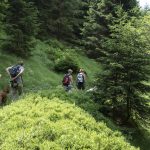 Wandern im Harz