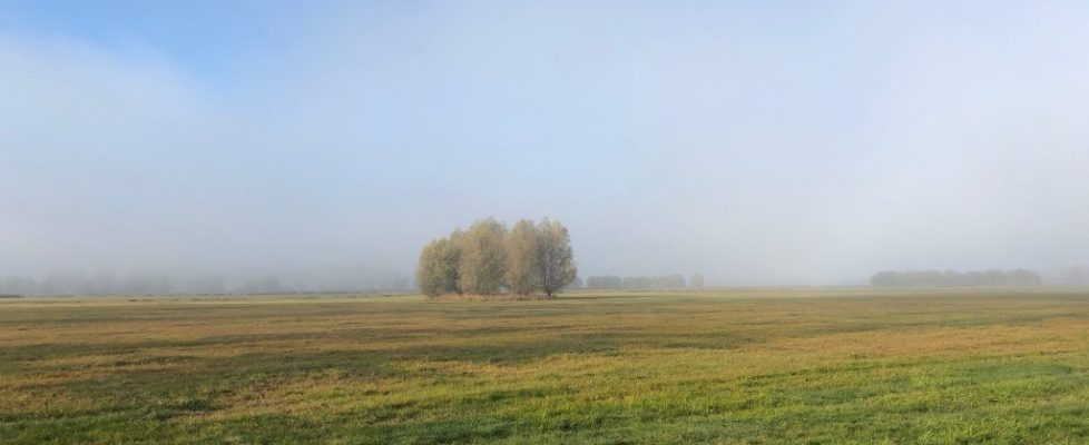 juehnsdorf_20181021_01