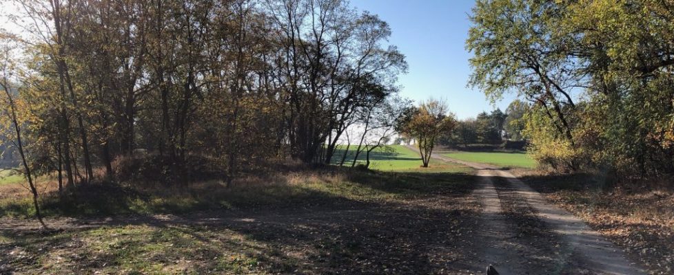 juehnsdorf_20181021_03