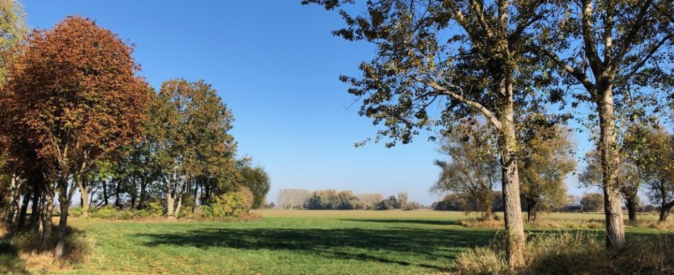 juehnsdorf_20181021_05