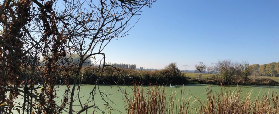 juehnsdorf_20181021_06