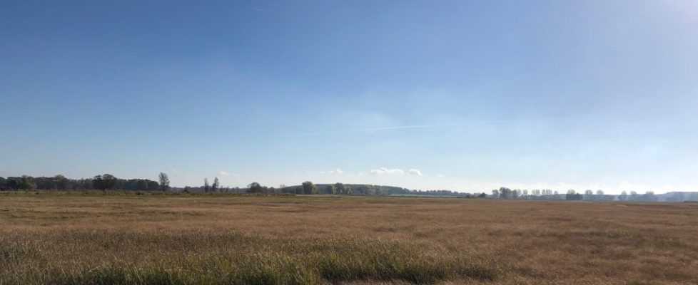 juehnsdorf_20181021_08