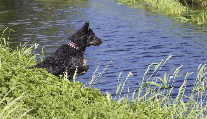 Gassi in Kleinziethen am 12. Mai 2012