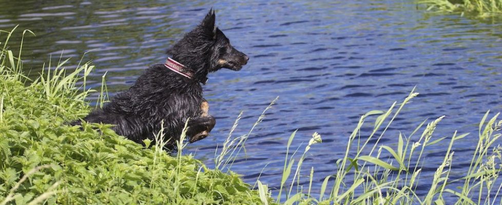 Gassi in Kleinziethen am 12. Mai 2012