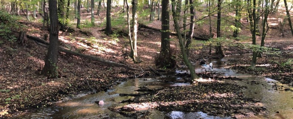 schlaubetal_20181013_01