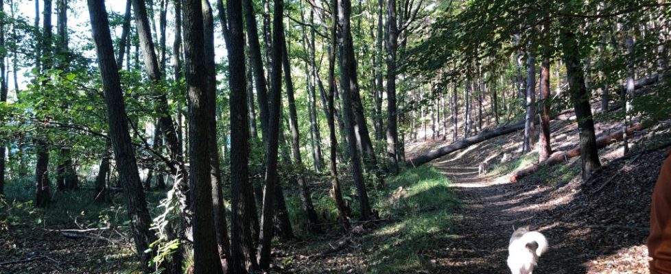 schlaubetal_20181013_02