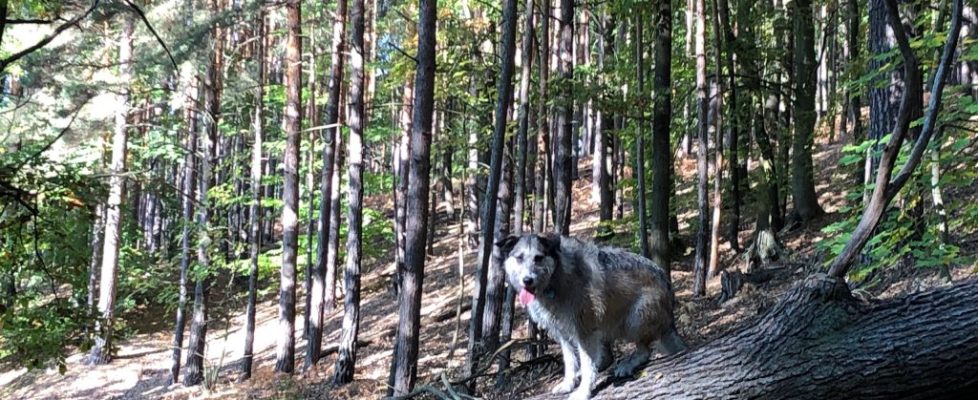 schlaubetal_20181013_03