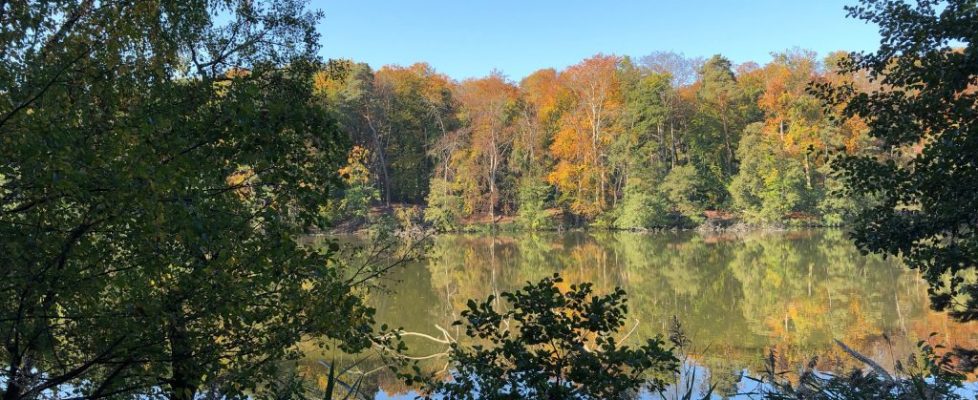 schlaubetal_20181013_07