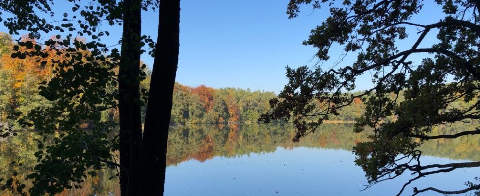 schlaubetal_20181013_08