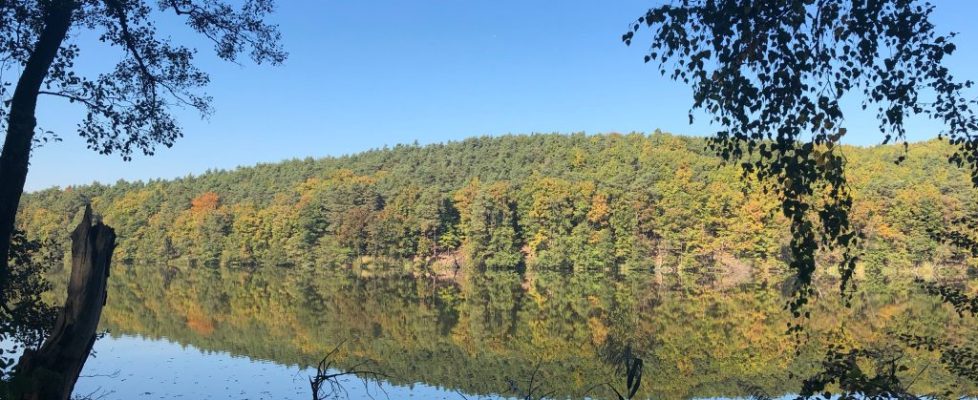 schlaubetal_20181013_09