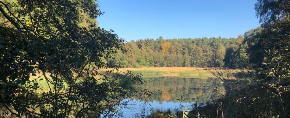 schlaubetal_20181013_10