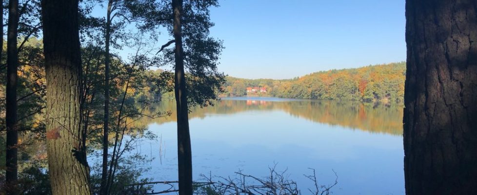 schlaubetal_20181013_11