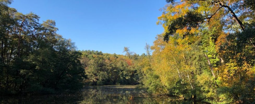 schlaubetal_20181013_12