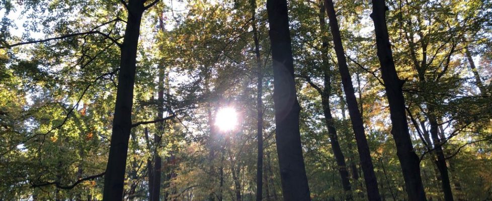 schlaubetal_20181013_13