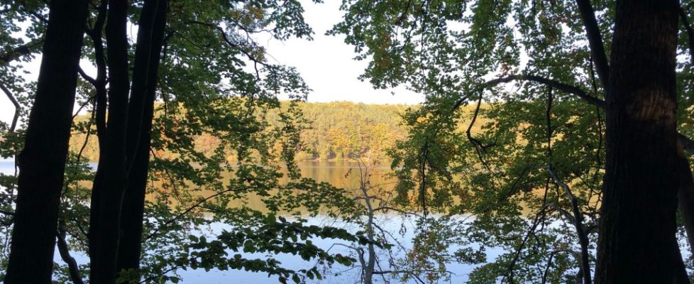 schlaubetal_20181013_14