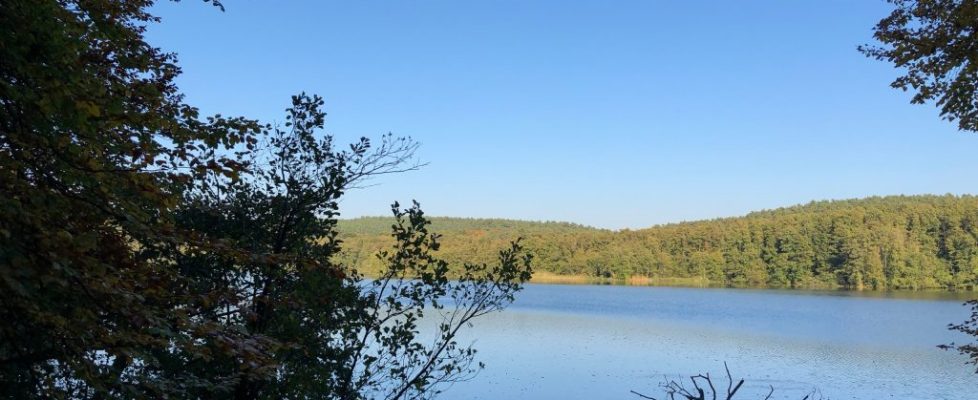 schlaubetal_20181013_15