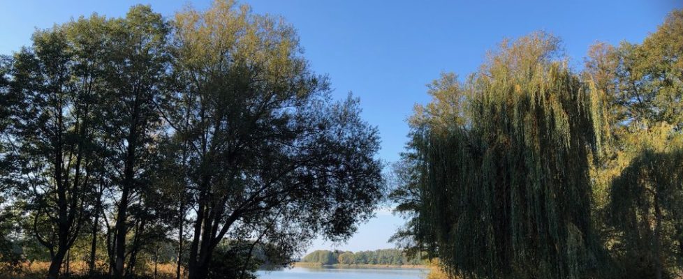 seddiner_see_20181020_01