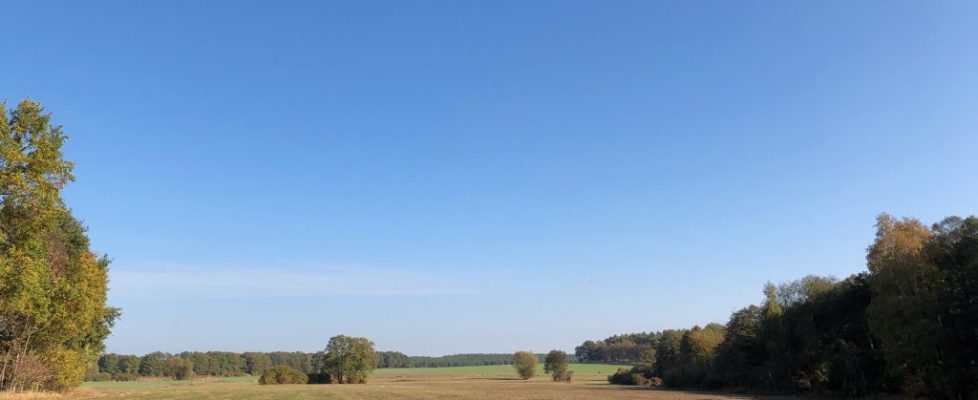 seddiner_see_20181020_03